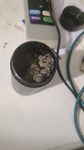 Customer photo review of RS11 Flower