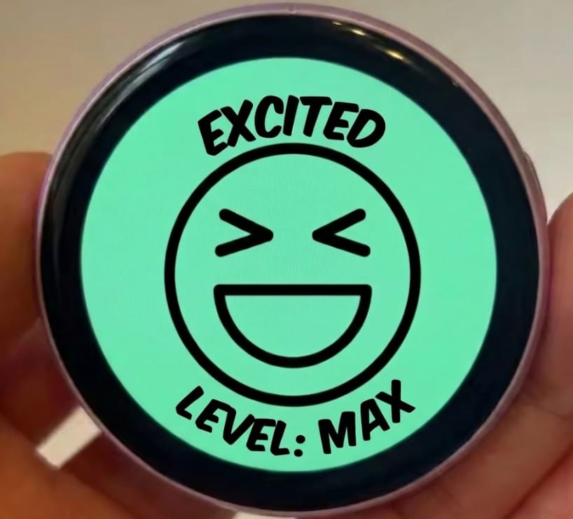 Customer photo review of FaceFlip™ | Mood Badge