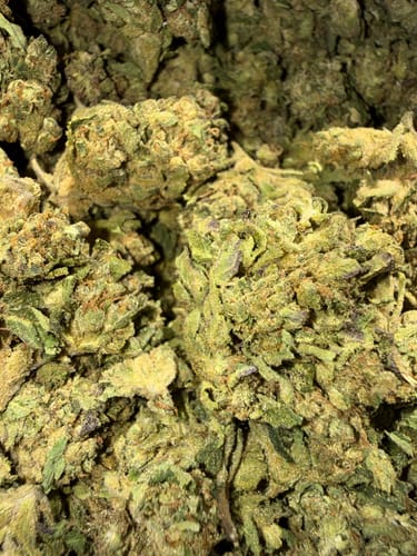 Trainwreck - Bulk - Hybrid photo review