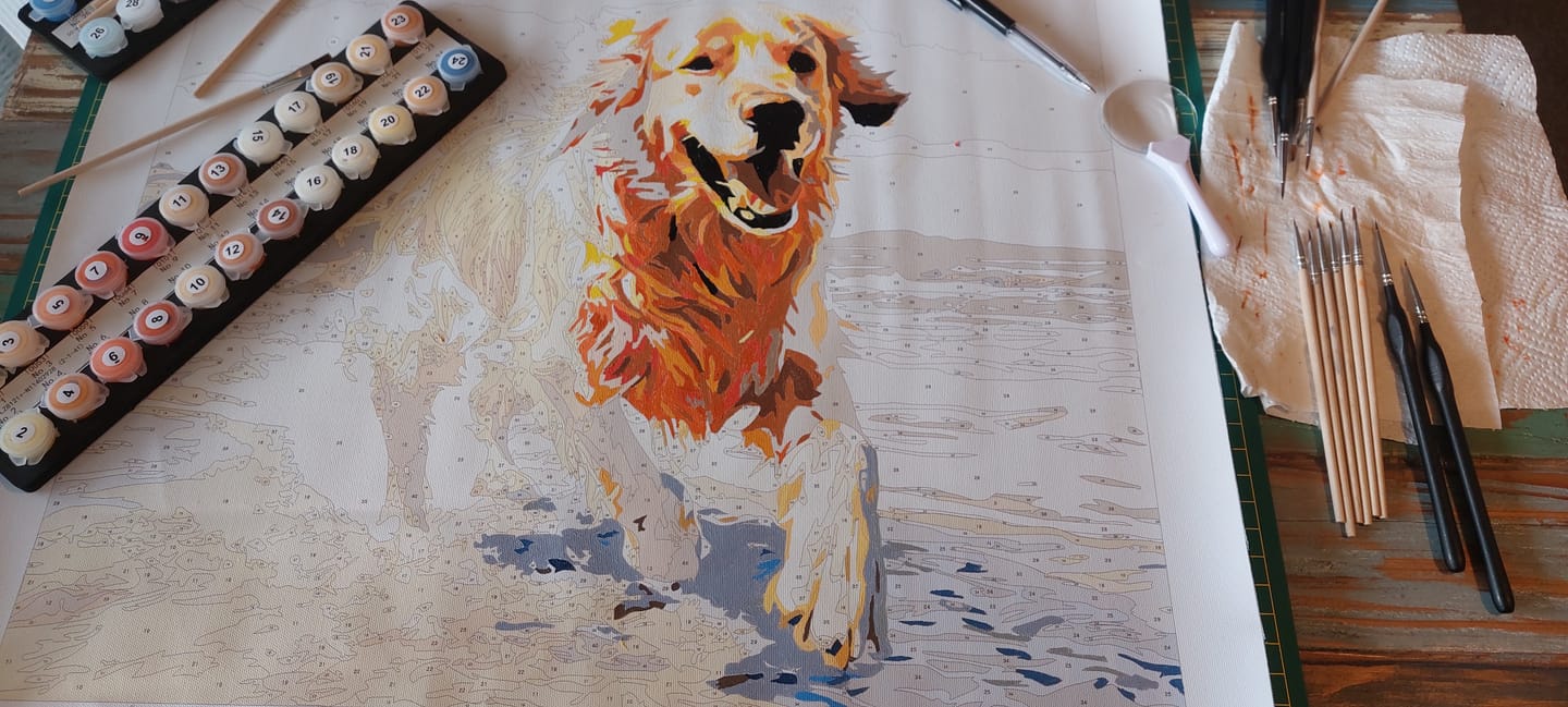 Customer photo review of Beach Day