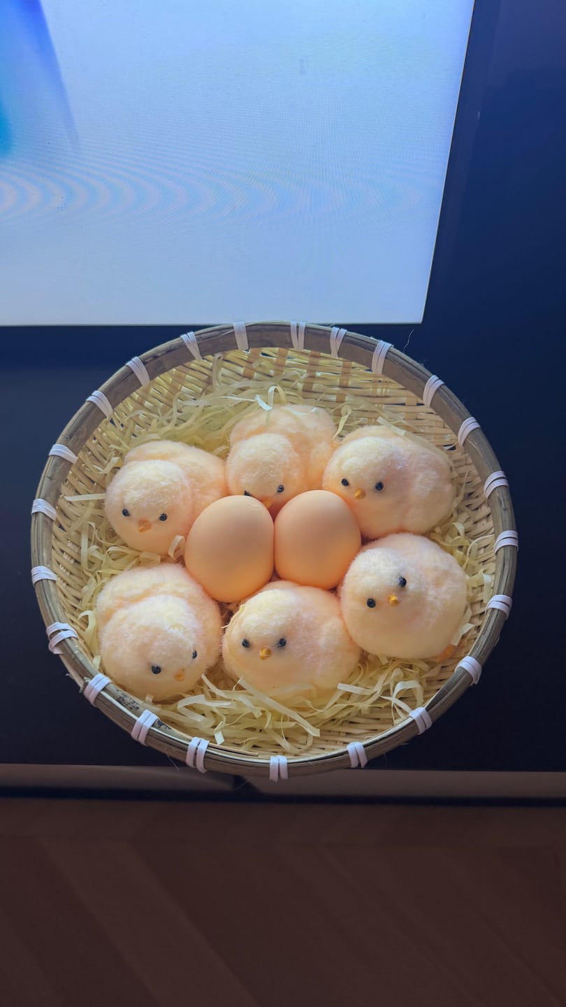 Customer photo review of Chubby Chick Squishy