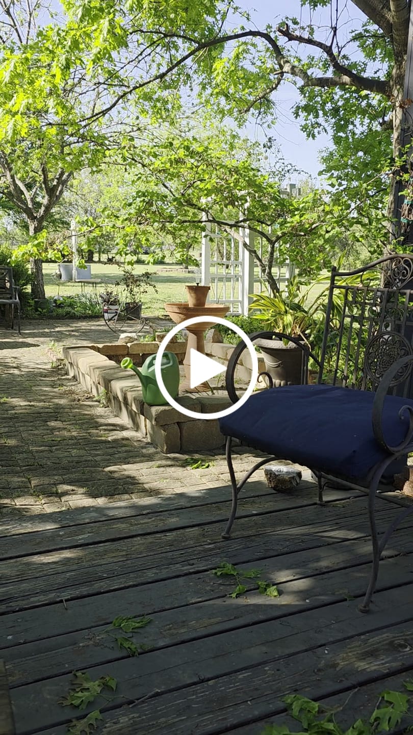 Customer video review of Adria Cordless 8-in-1 Modular Fountain with Timer