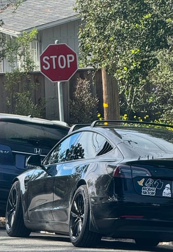 Customer photo review of Model 3 & Model Y Aluminum Roof Rack Cargo Cross Bars (Set of 2) for Tesla(2017-2025)