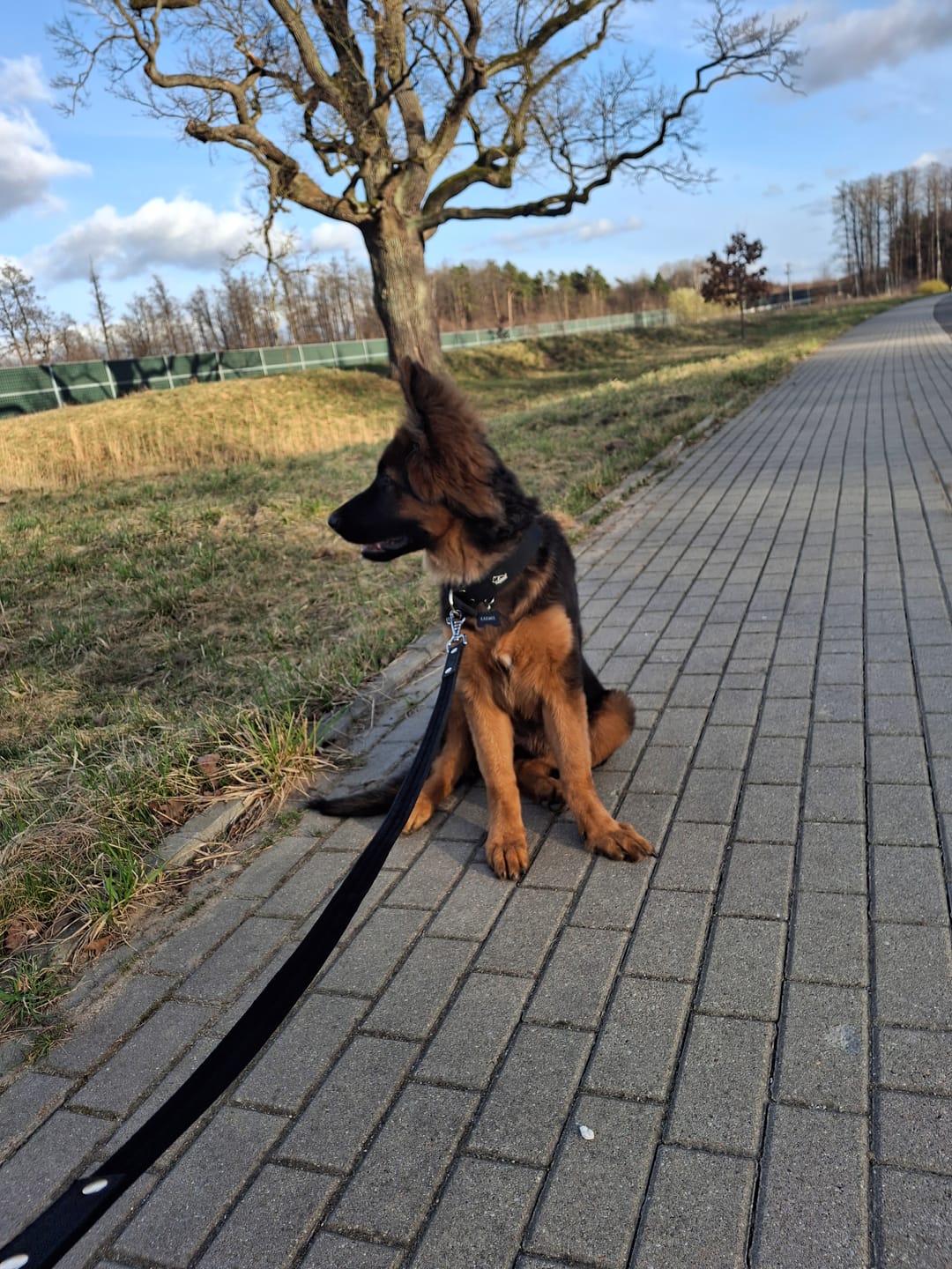Customer photo review of Smycz dla psa z imieniem - Personal Leash