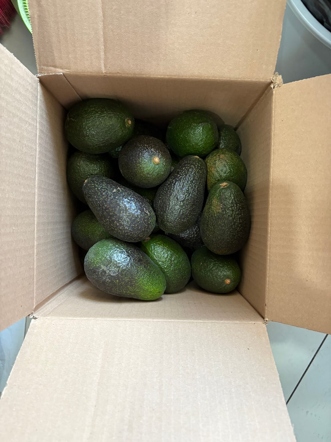 Customer photo review of 7 kg Palta Hass Chilena