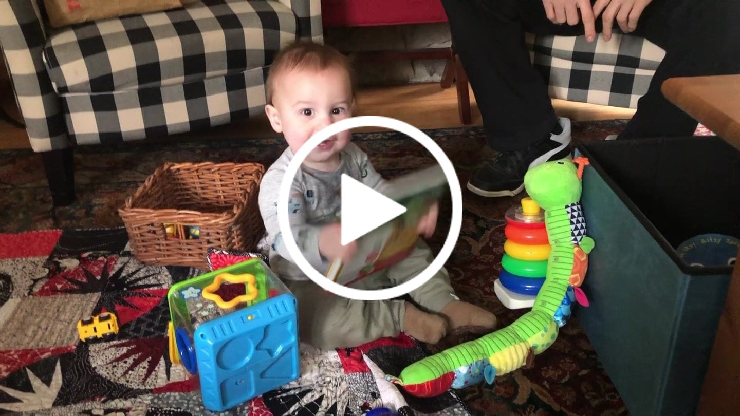Customer video review of Reggae First Playlist - Rechargaeable