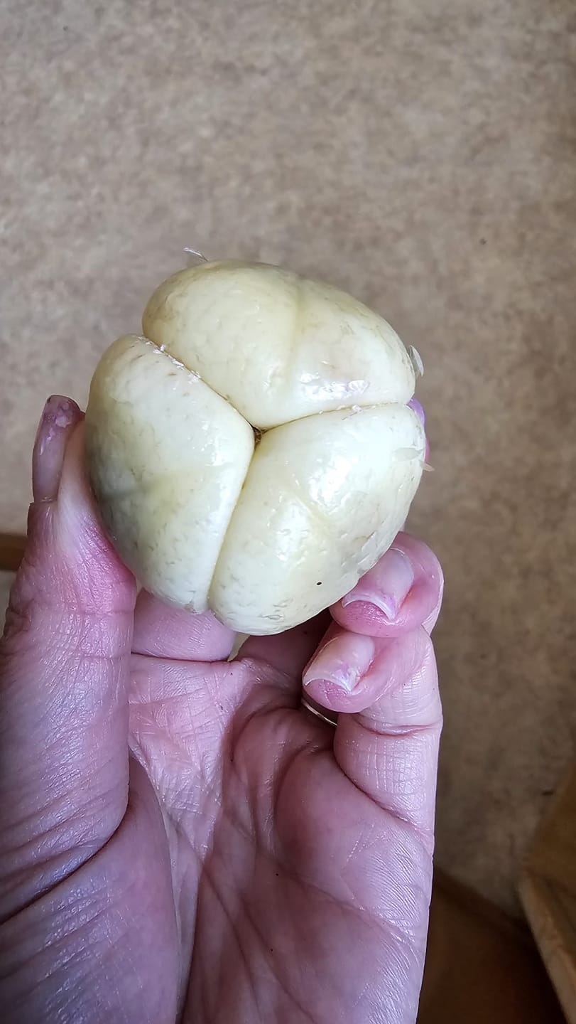 Customer photo review of Salak (Schlangenfrucht) naturbelassen