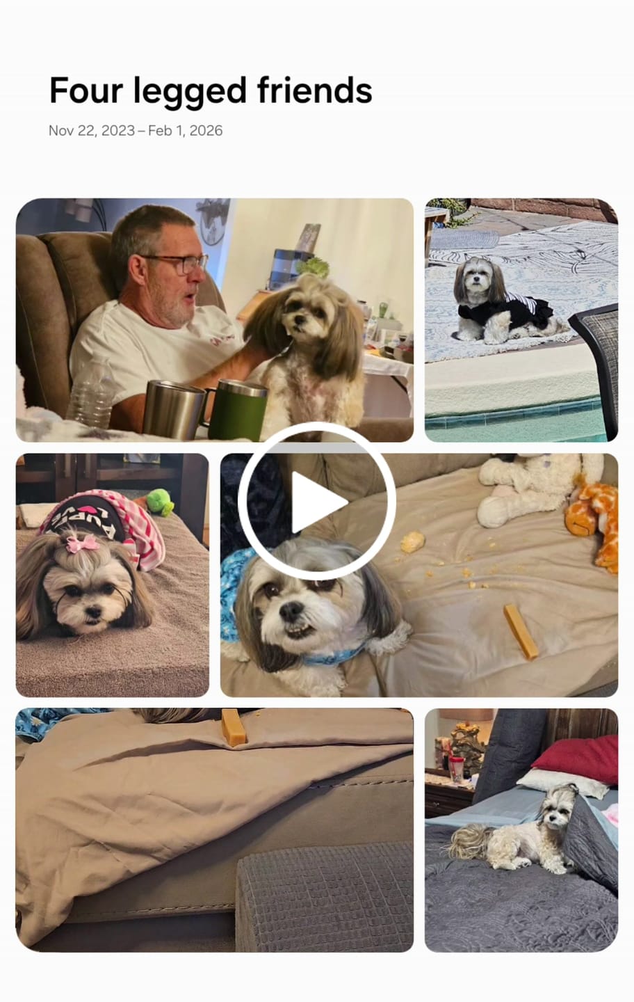 Customer video review of Coconut Yak Chews