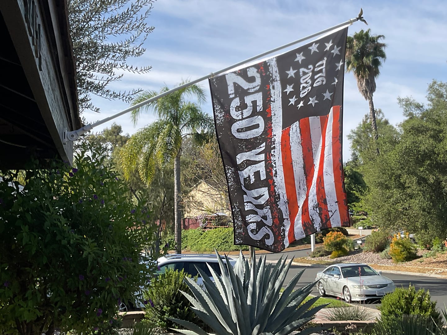 Customer photo review of 1776-2026 America 250 Flag | 250th Anniversary 3x5 Banner