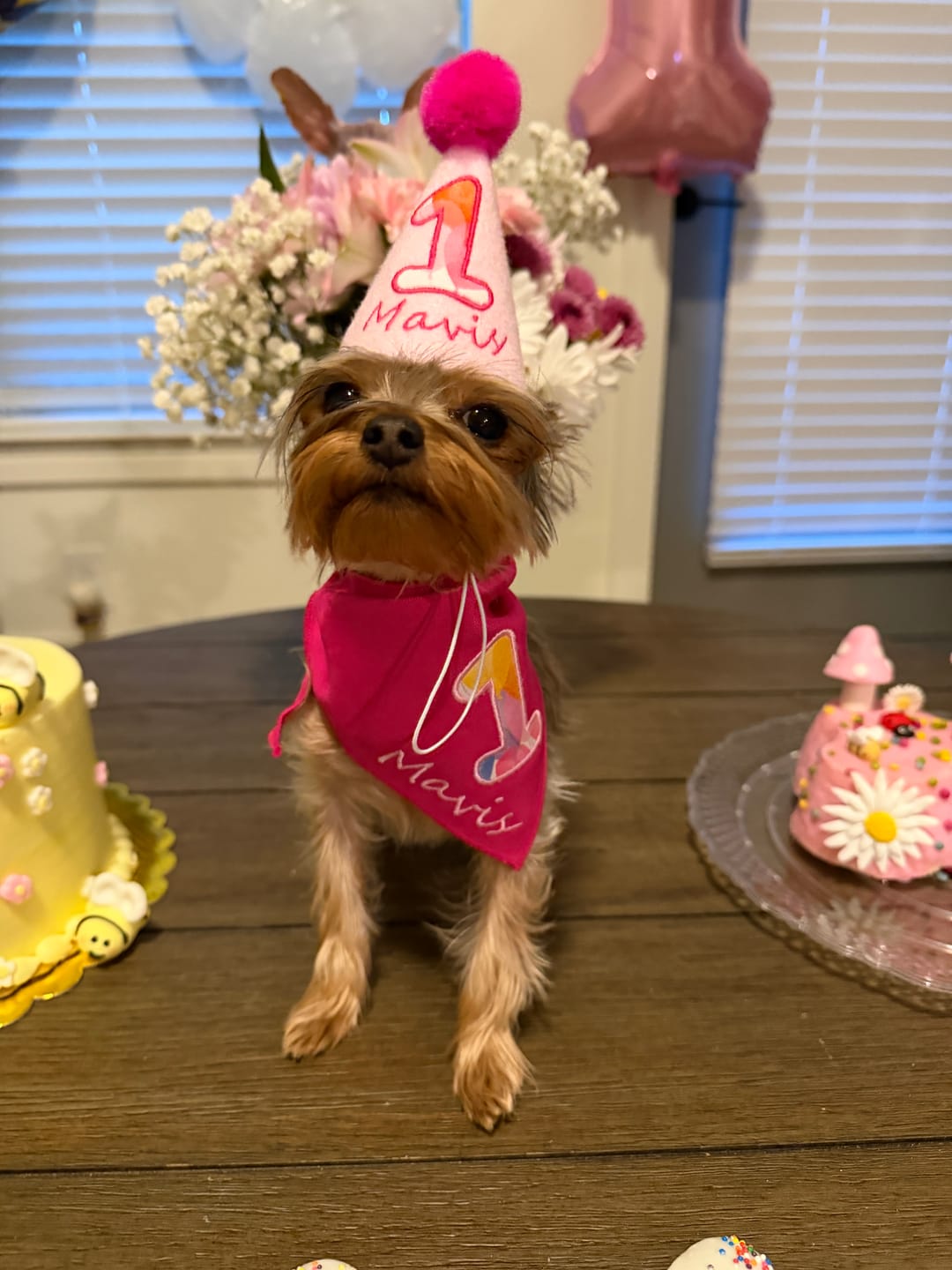 Customer photo review of Personalized Dog Party Pack