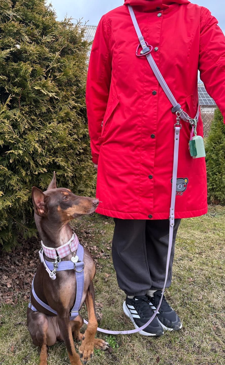 Customer photo review of Hands-Free Leash Adapter