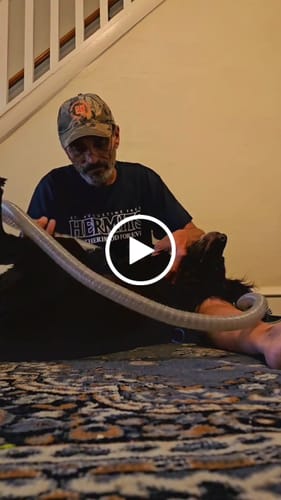 Customer video review of furMe® AirClipper Blades