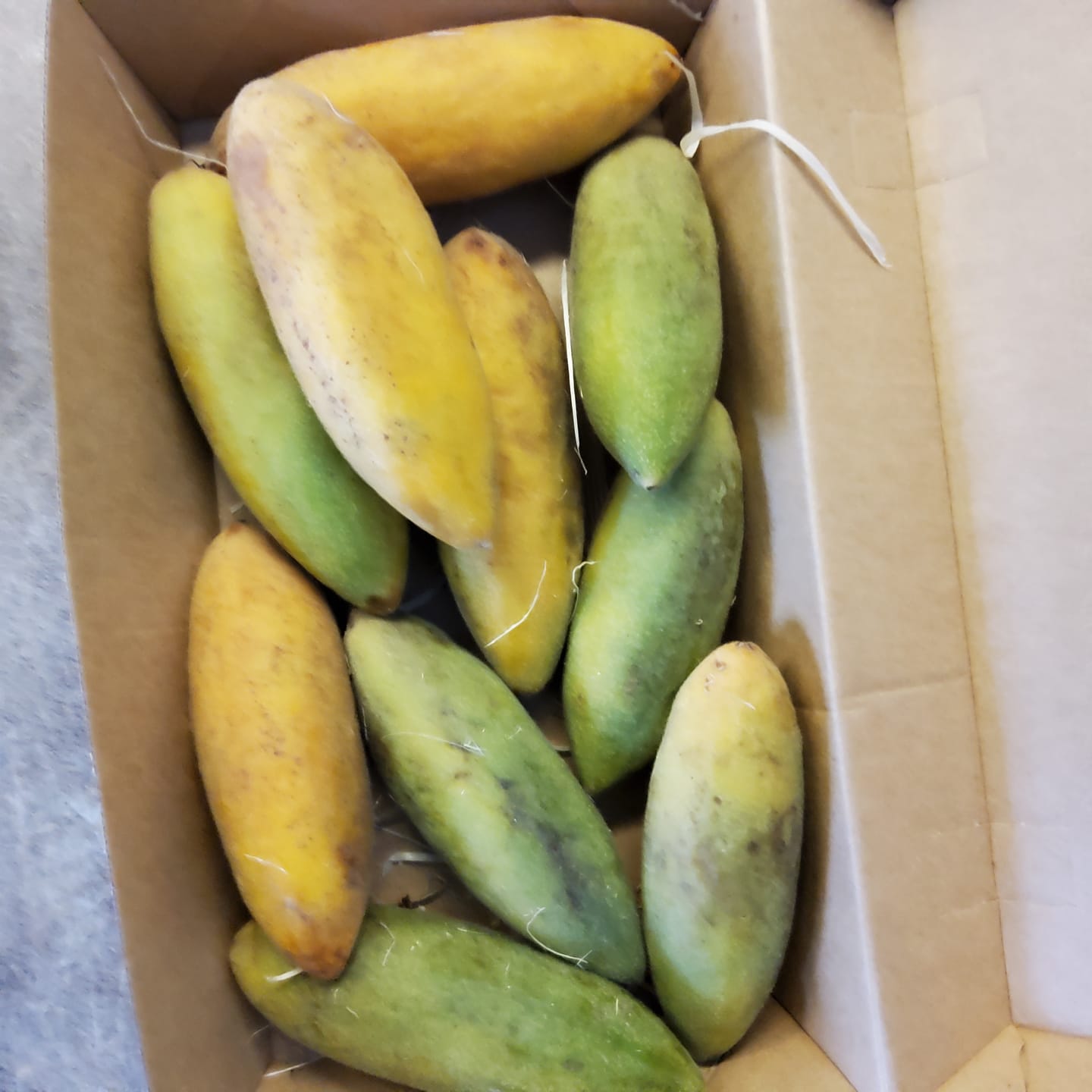 Customer photo review of Curuba 200g