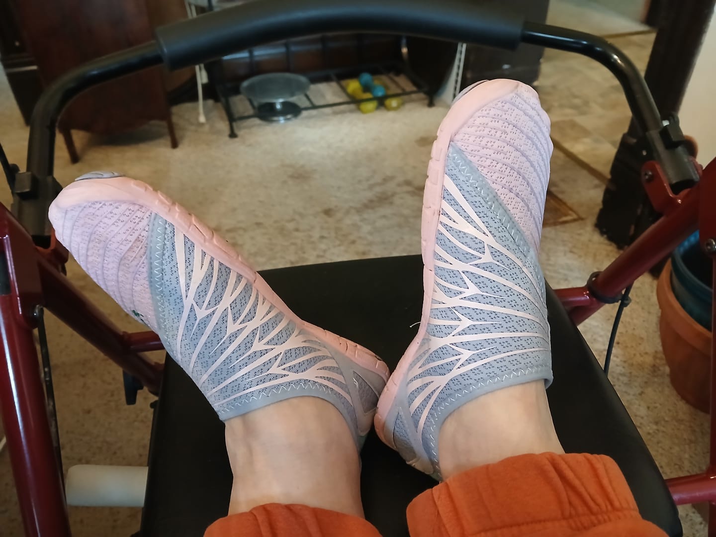 Customer photo review of Solyn-Mauve-BOGO