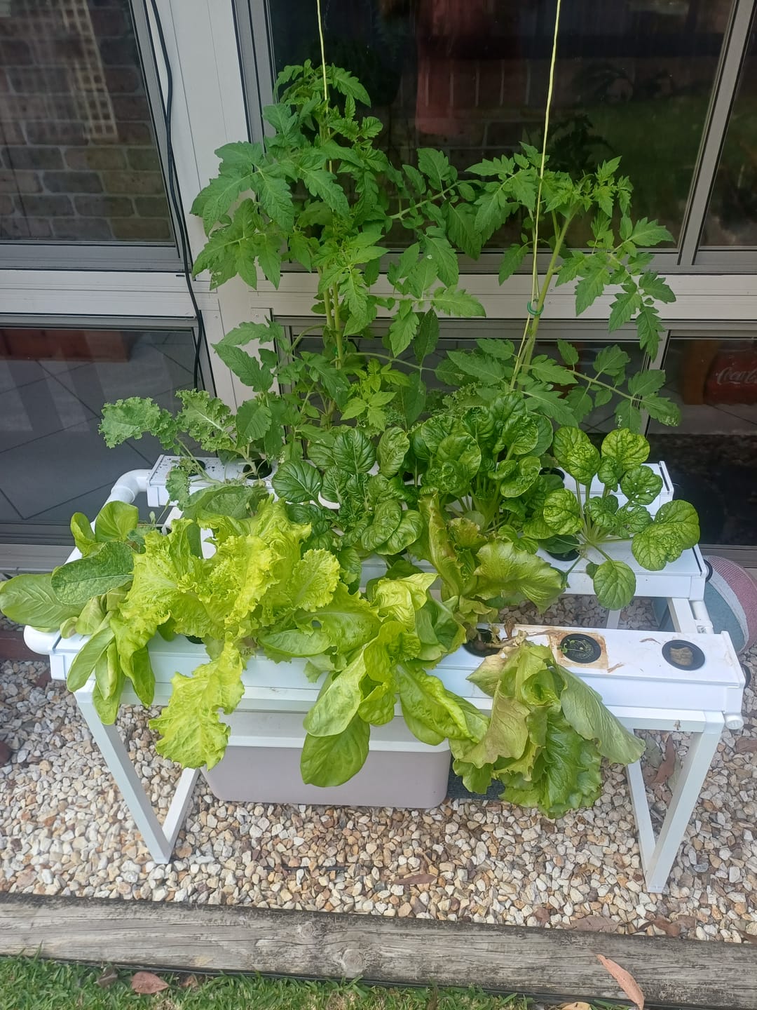 Customer photo review of The Small Salad Table