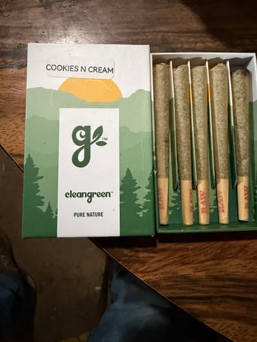 Reviewer displays an open green and white box showing five neatly arranged pre-rolls on a wooden table.