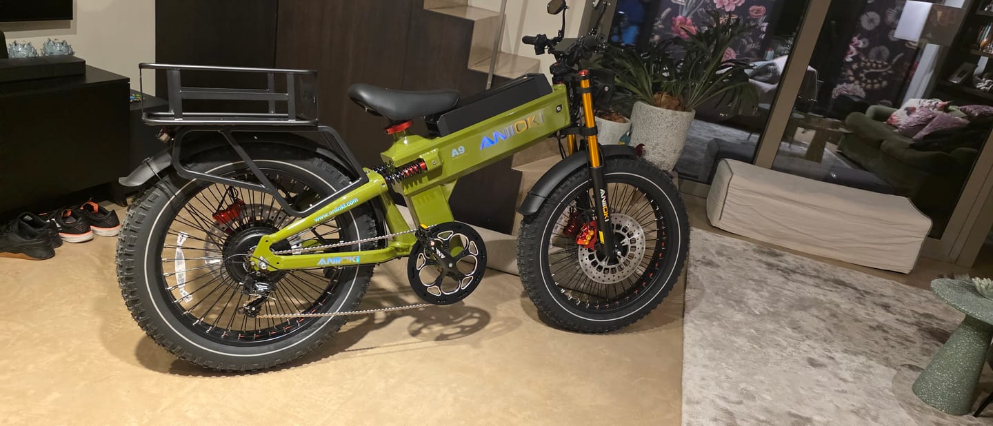 Customer photo review of ANIIOKI A9 Pro Max 60V Dual Motor Ebike