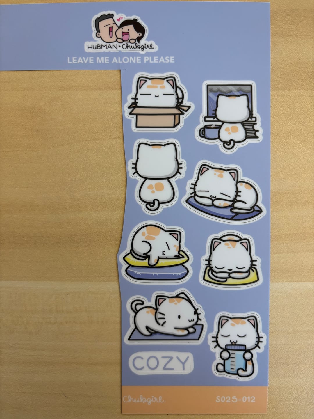 Customer photo review of Sticker Sheet - Leave Me Alone Please