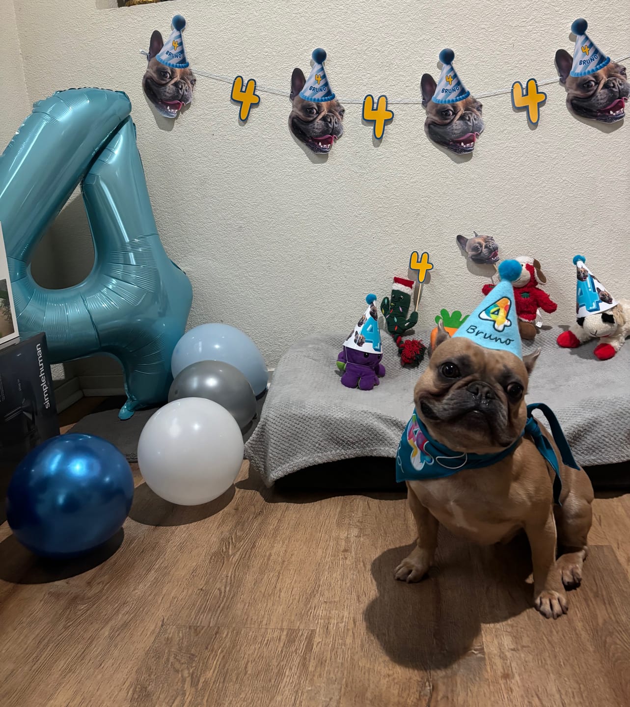 Customer photo review of Lite Personalized Dog Party Pack