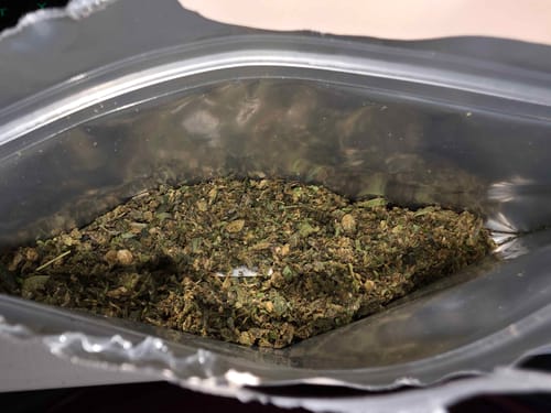 Customer's view of the green, ground Exotic Shake inside its packaging.