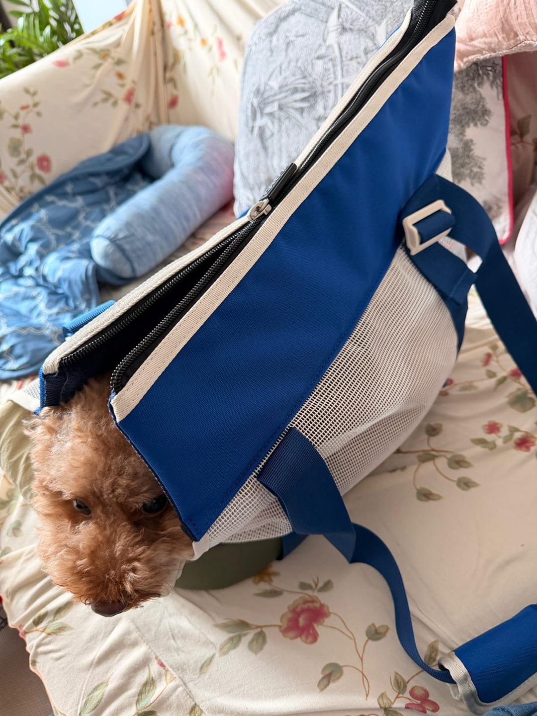 Customer photo review of Brisbane Bag_Eastwood Blue