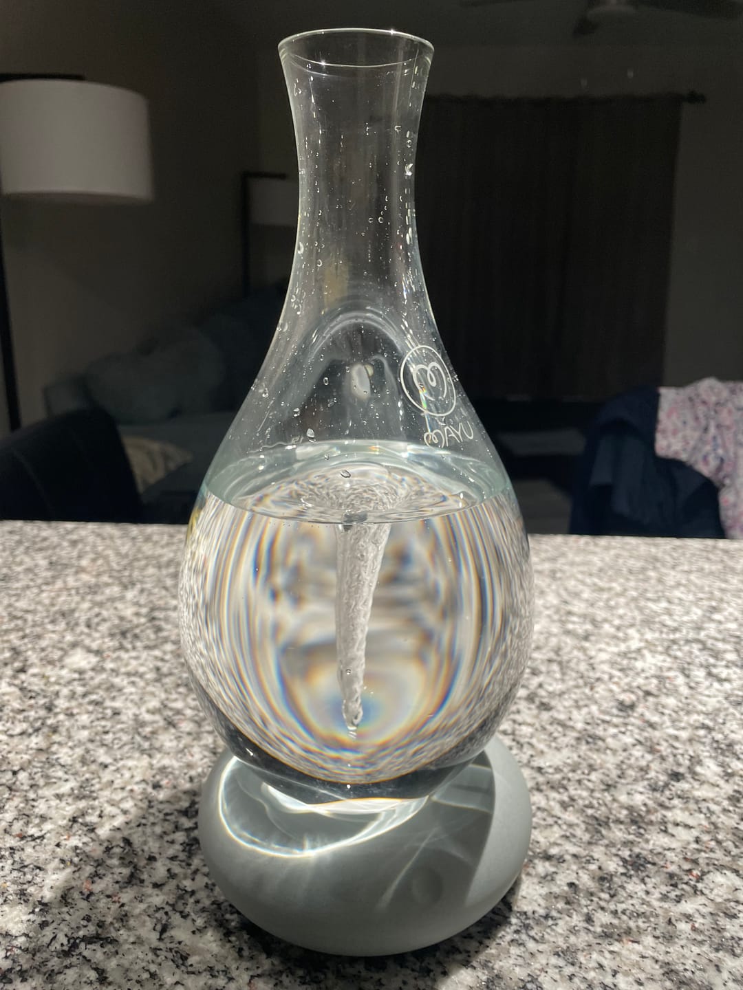 Customer photo review of Swirl Structured Water Carafe