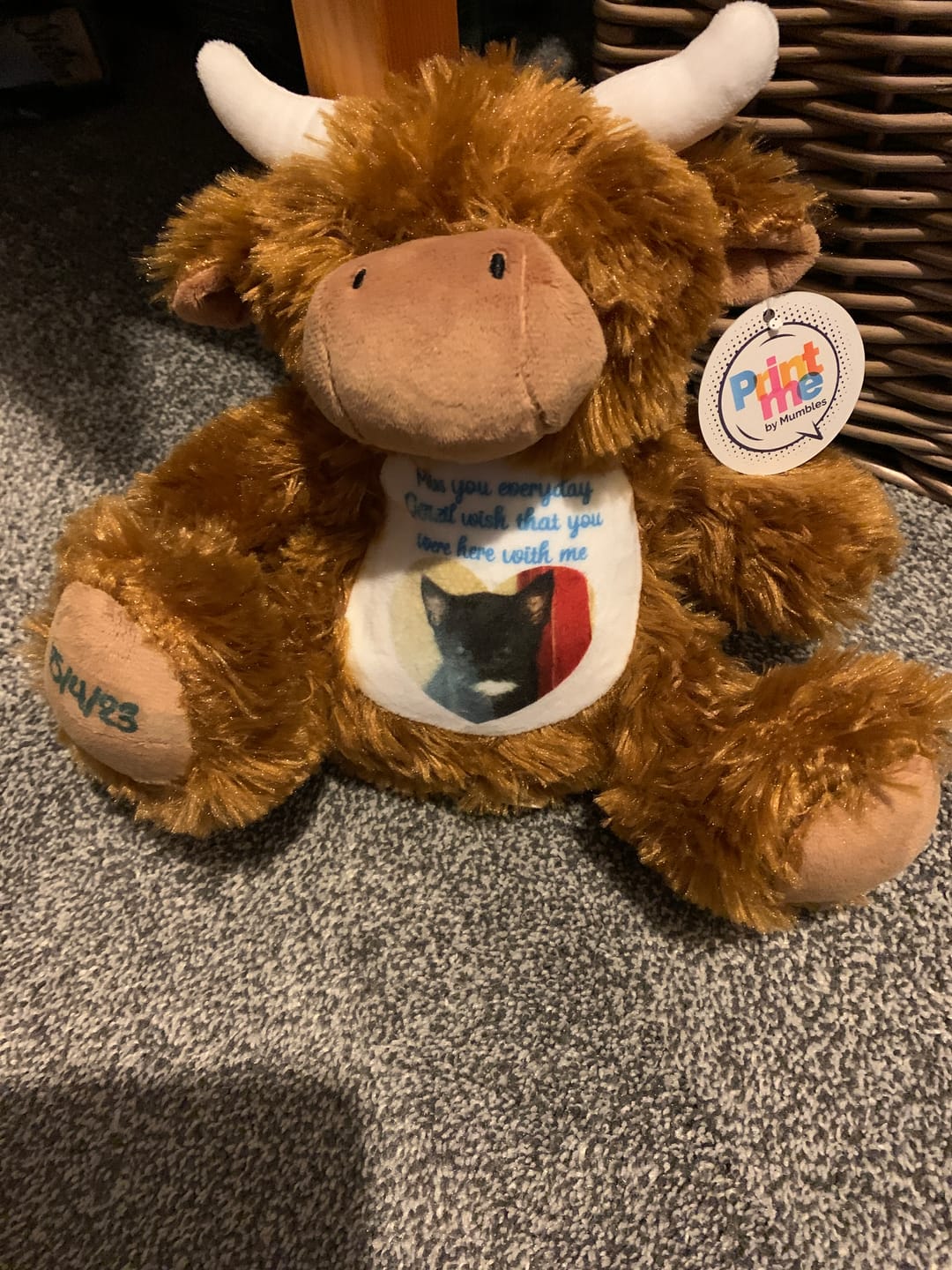 Customer photo review of A Cuddle from Heaven Personalised Photo Teddy Bear