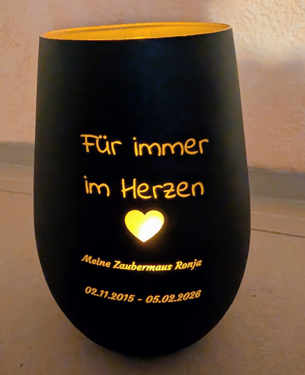 Customer photo review of Katzen Gedenktafel mit Foto & Spruch (UV- & Wetterfest)