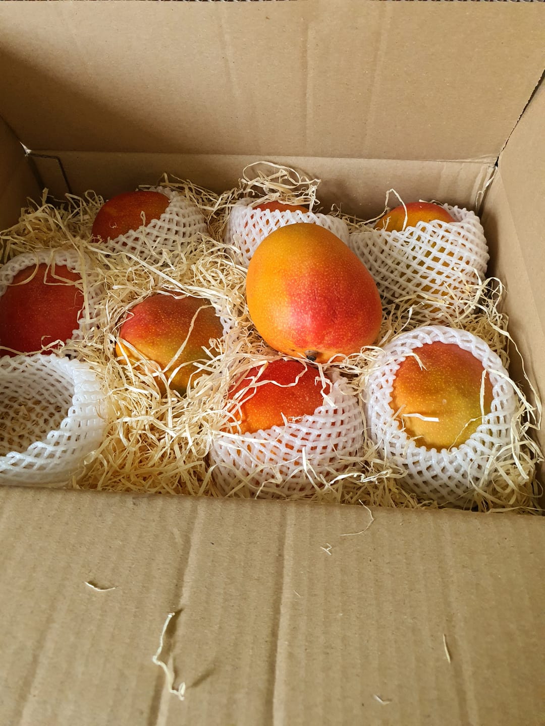 Customer photo review of Mango Kent Premium Bio von Karina baumgereift