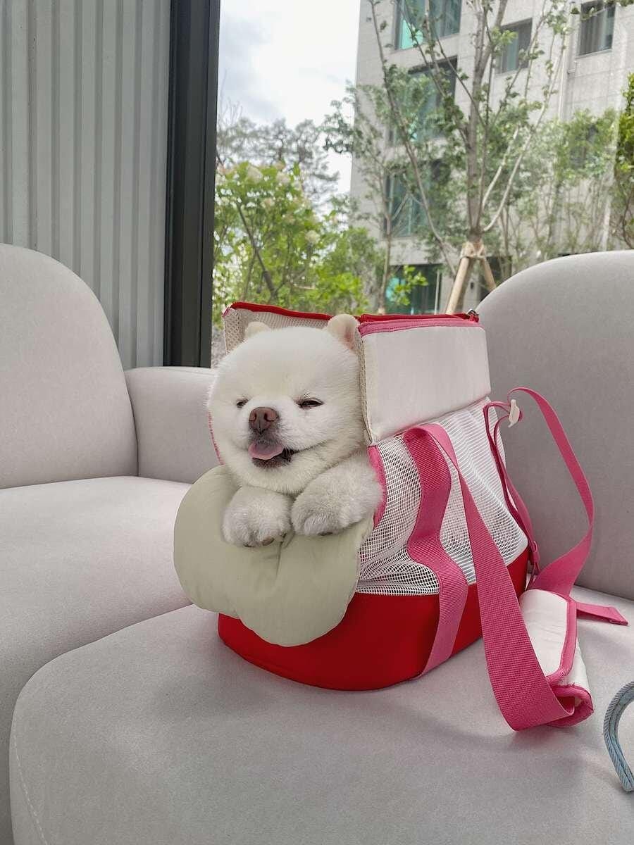Customer photo review of Brisbane Bag_Eastwood Blue
