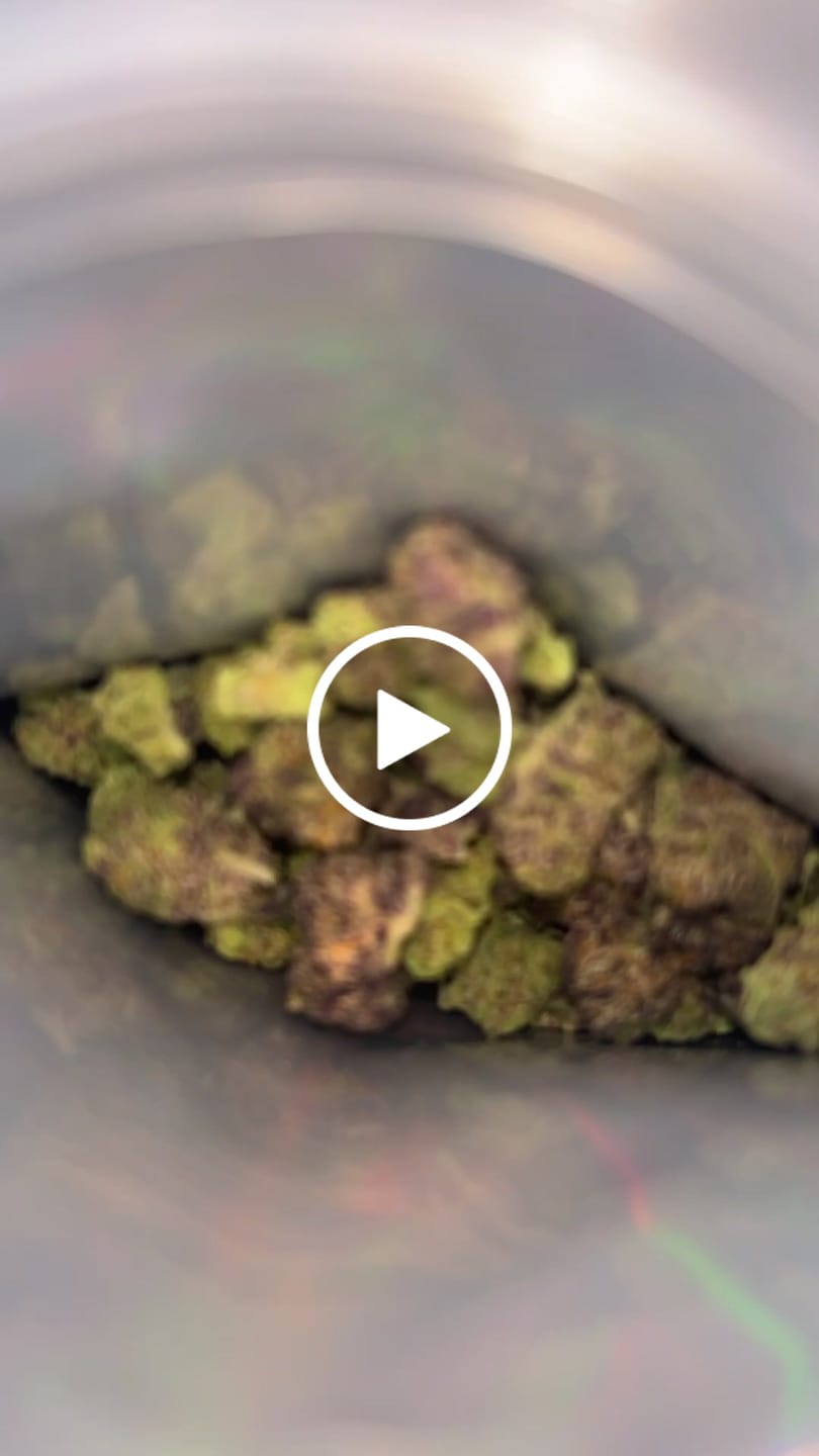 Customer video review of Pink Zlushie Indoor - 14 Grams Littles - Hybrid