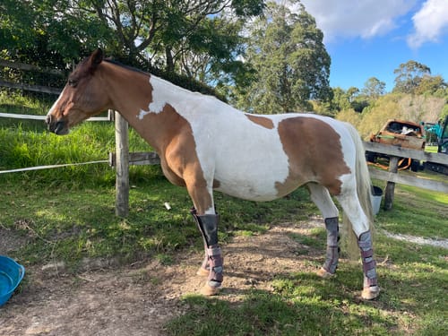 Customer photo review of LE Defender Fly Boots