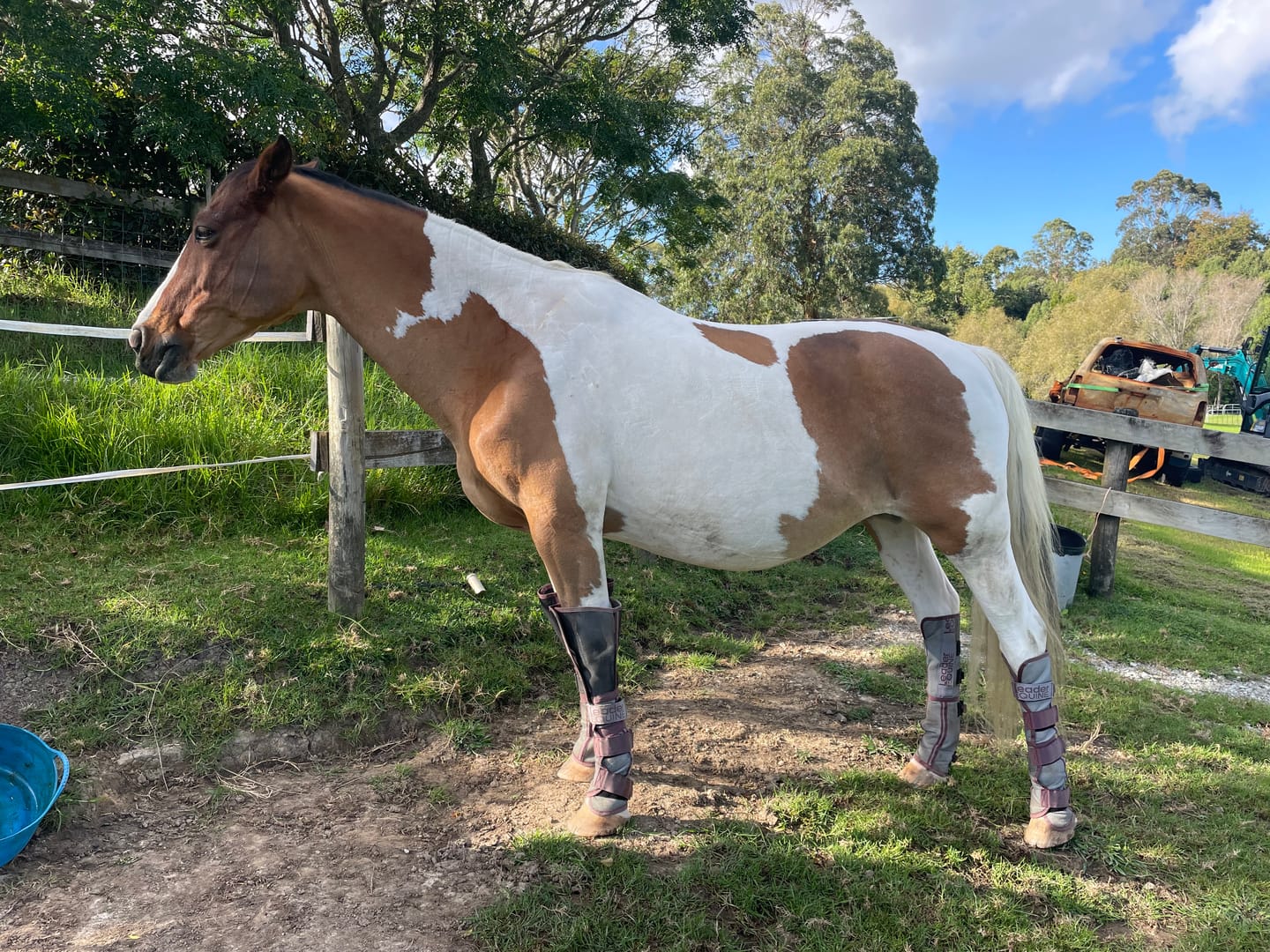 Customer photo review of LE Defender Fly Boots