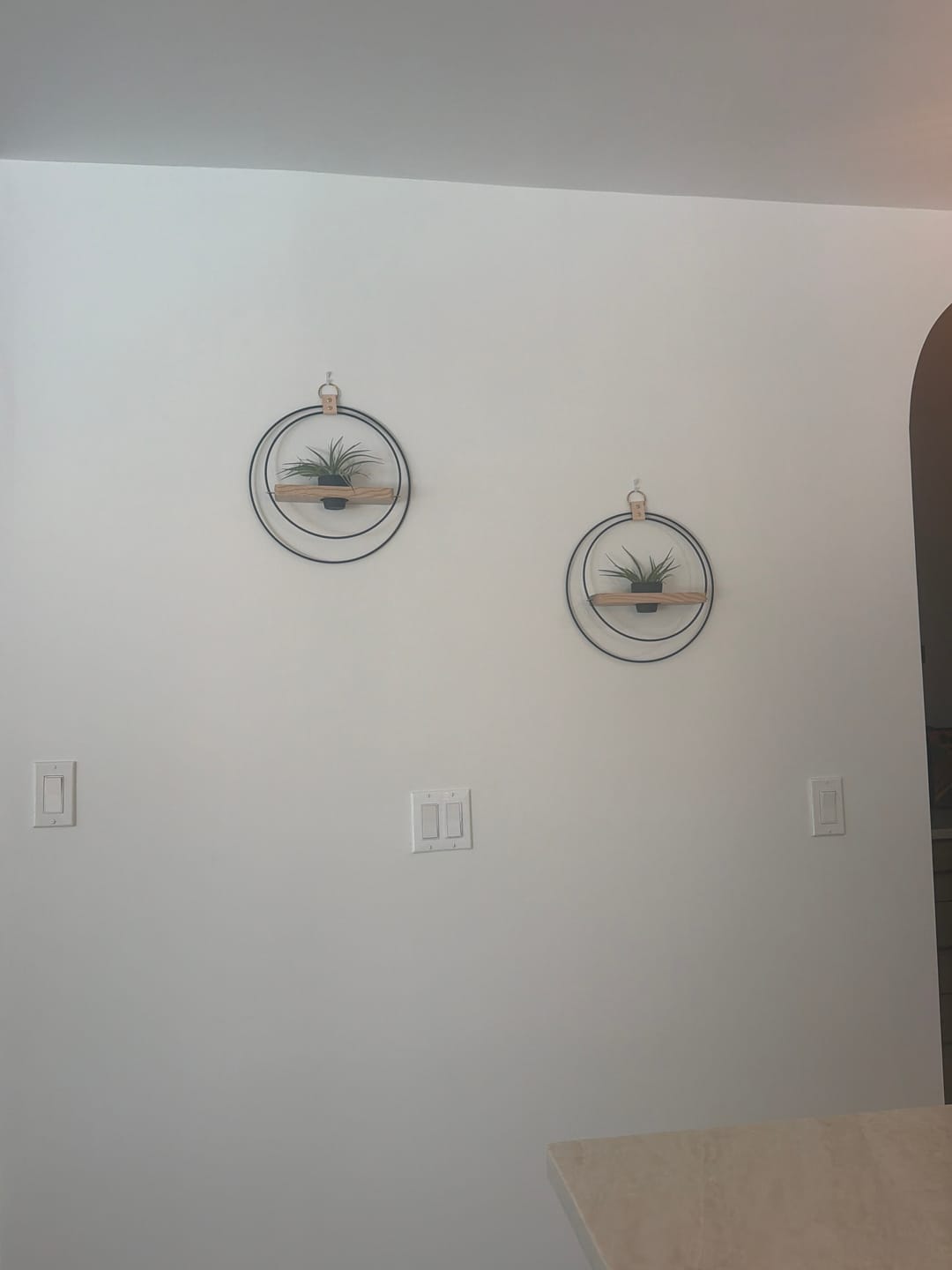 Customer photo review of Air Plant Shelf + Pot Trio