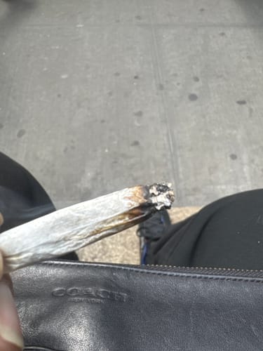 Customer photo review of Pineapple Express - Minis - 28 Grams - Sativa