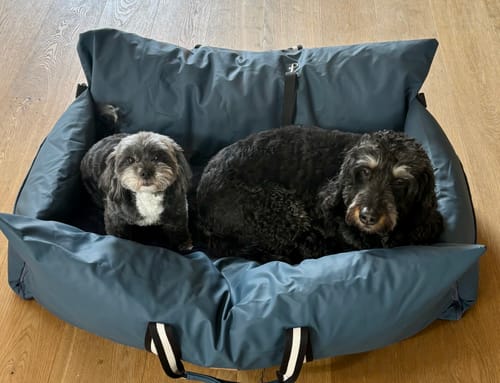Customer photo review of The Dog Dock V2 New & Improved with ISO Fix
