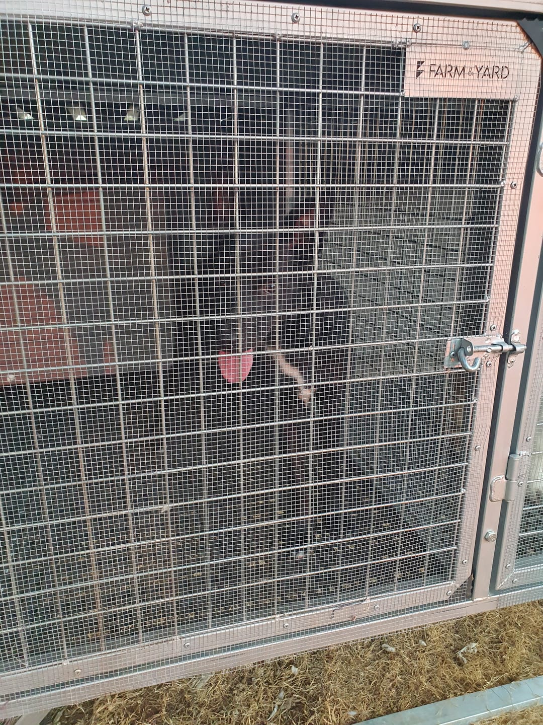 Customer photo review of Raised Safety Kennel