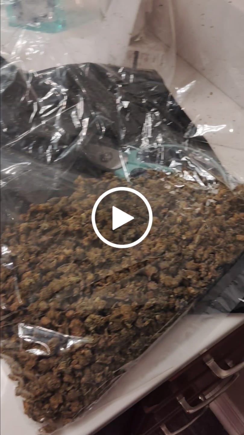 Customer video review of QP of Smalls - Bulk - 1/4 Pounds