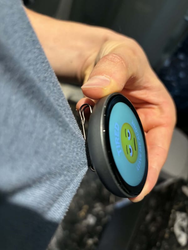 Customer photo review of MemoPin - Mood Badge