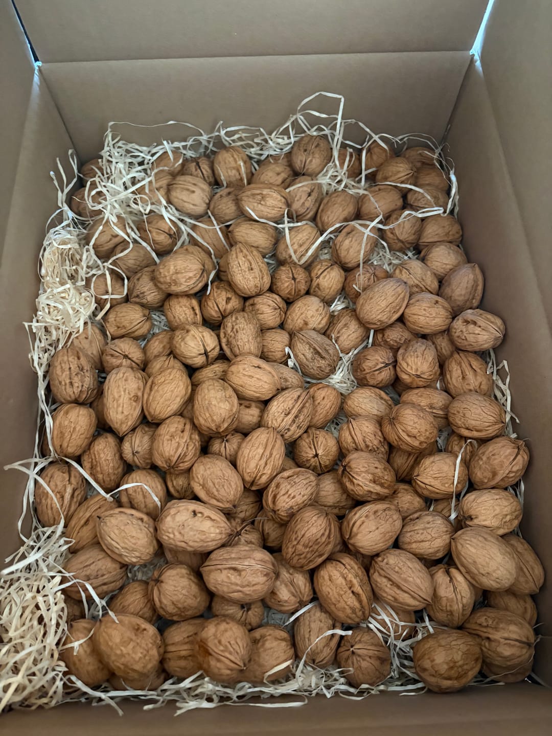 Customer photo review of Walnüsse „Franquette“ Bio original Grenoble AOP neue Ernte
