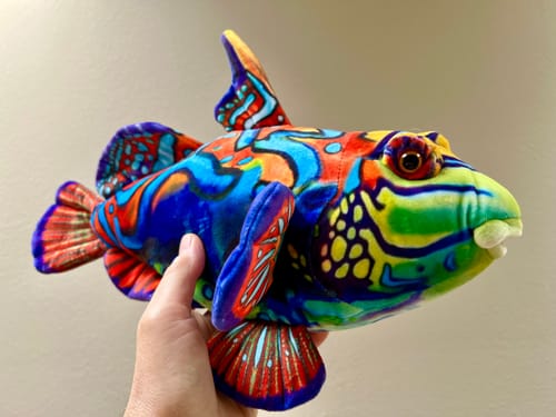 Customer photo review of Mandarinfish Soft Stuffed Plush Toy