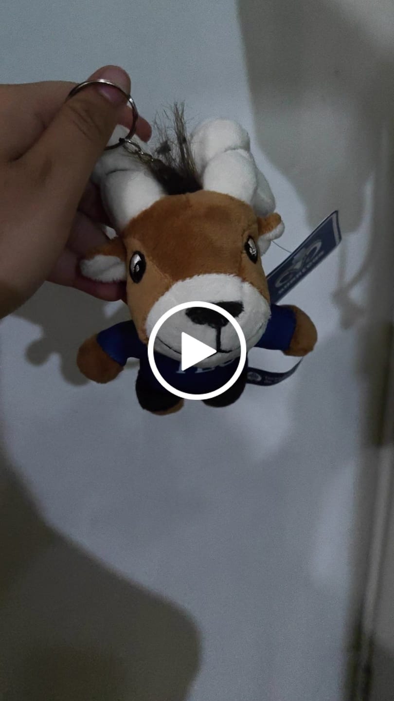 Customer video review of Teus Peluche Mini Llavero