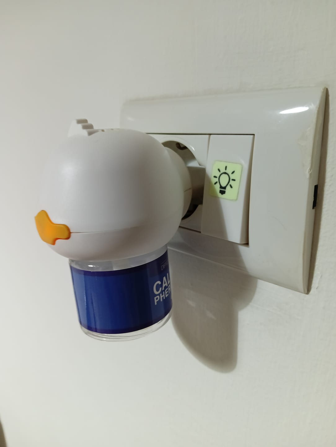 Customer photo review of Ricarica Diffusore (48 ml)