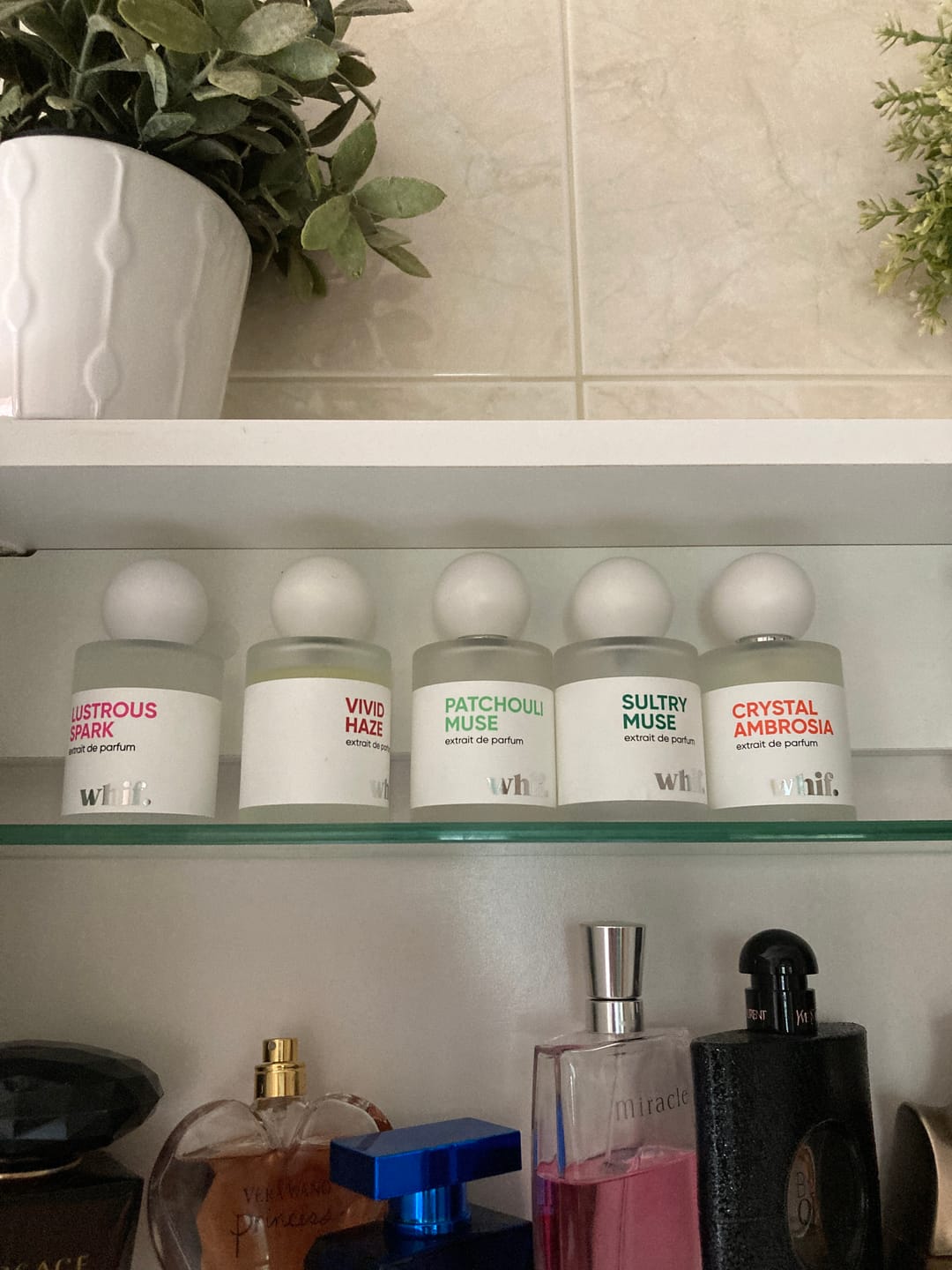 Customer photo review of Azure Spice