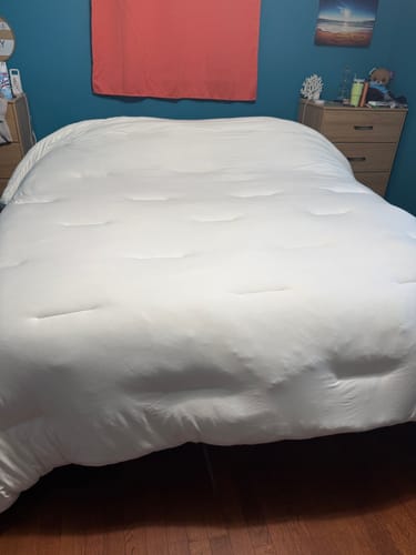Customer photo review of Shipping Protection
