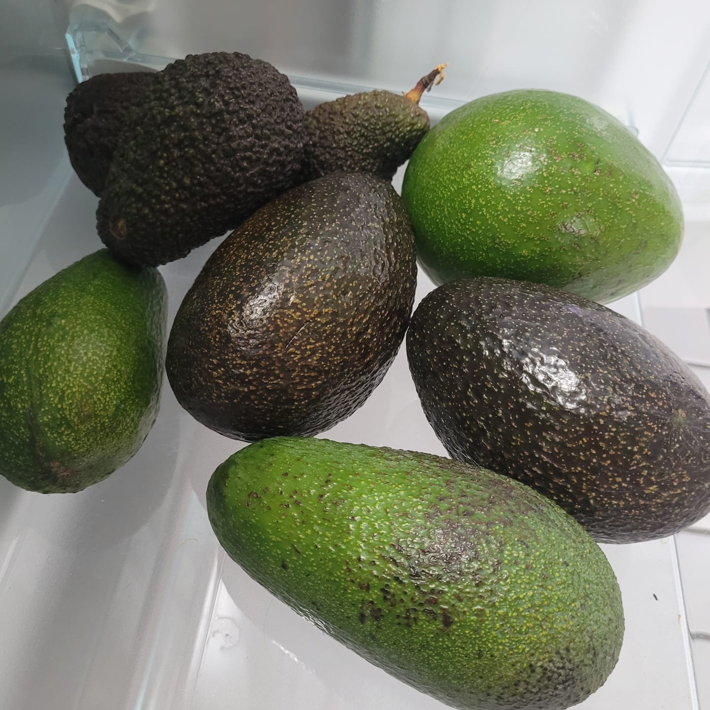 Customer photo review of Avocado-Mix Sonderaktion % 2kg Box