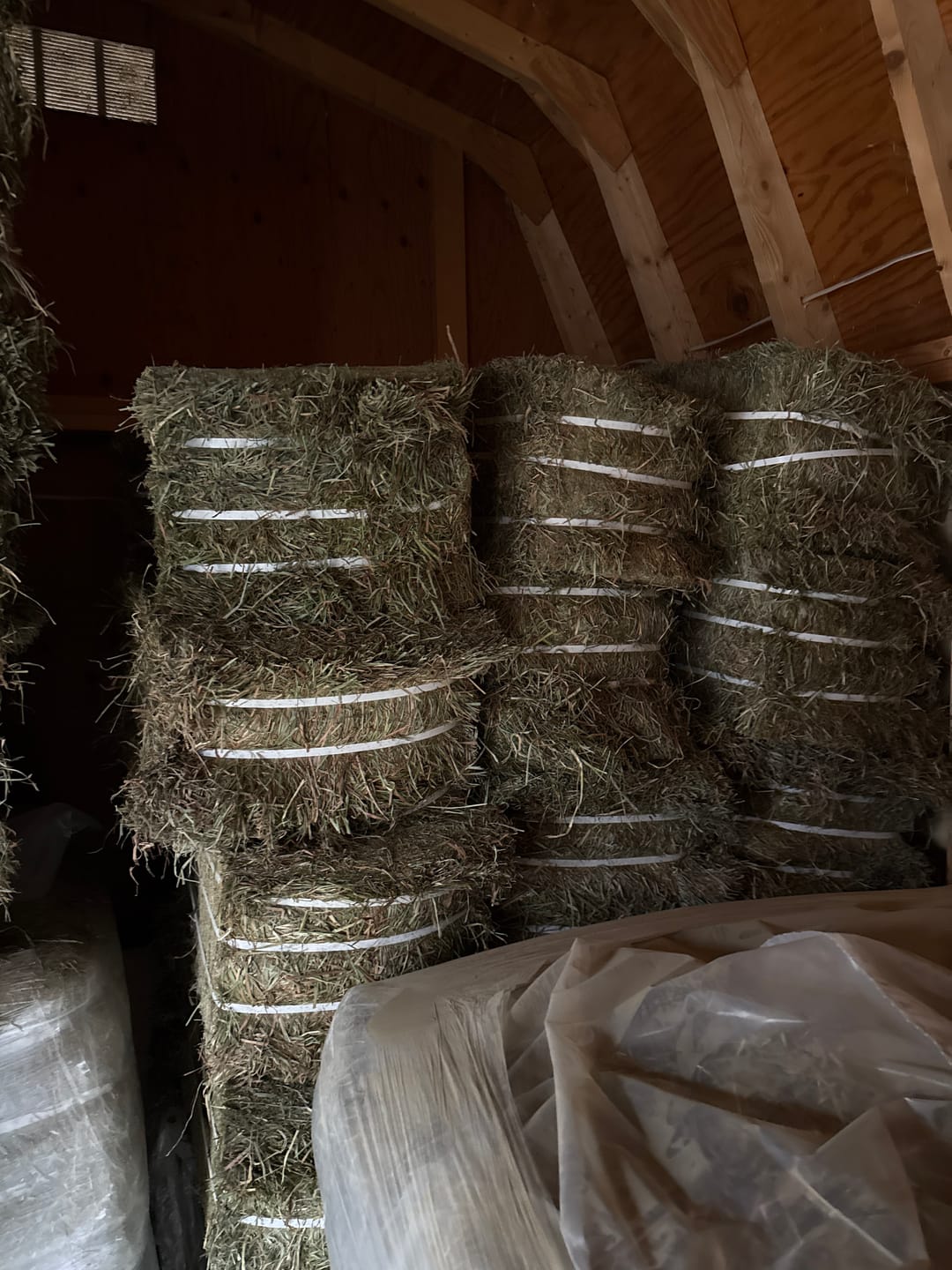 Customer photo review of 2nd Cutting (Click here for Qty Discount) NY Timothy Orchard Grass Hay (Buy More - Save More)(Includes delivery too!)
