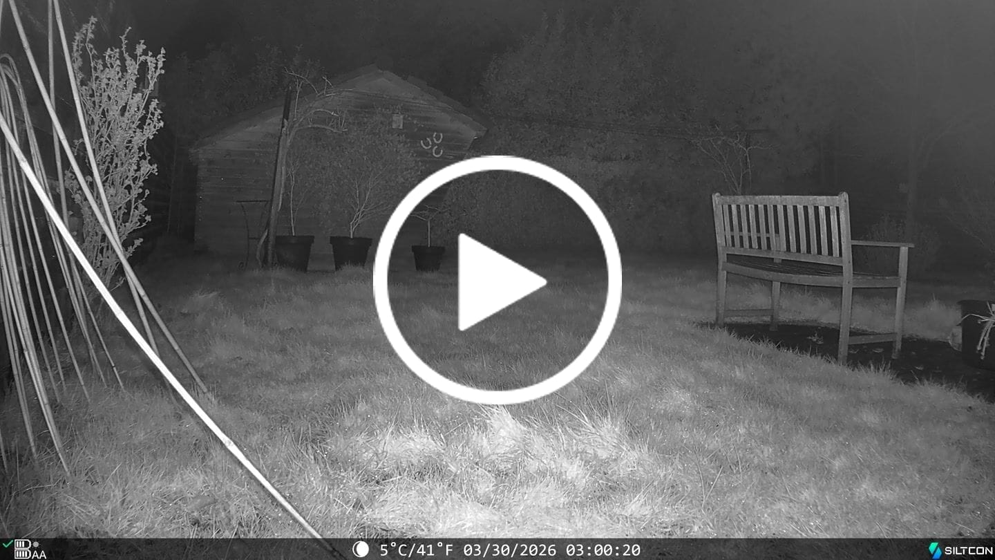 Customer video review of Siltcon® Wildcamera met Zonnepaneel 8K