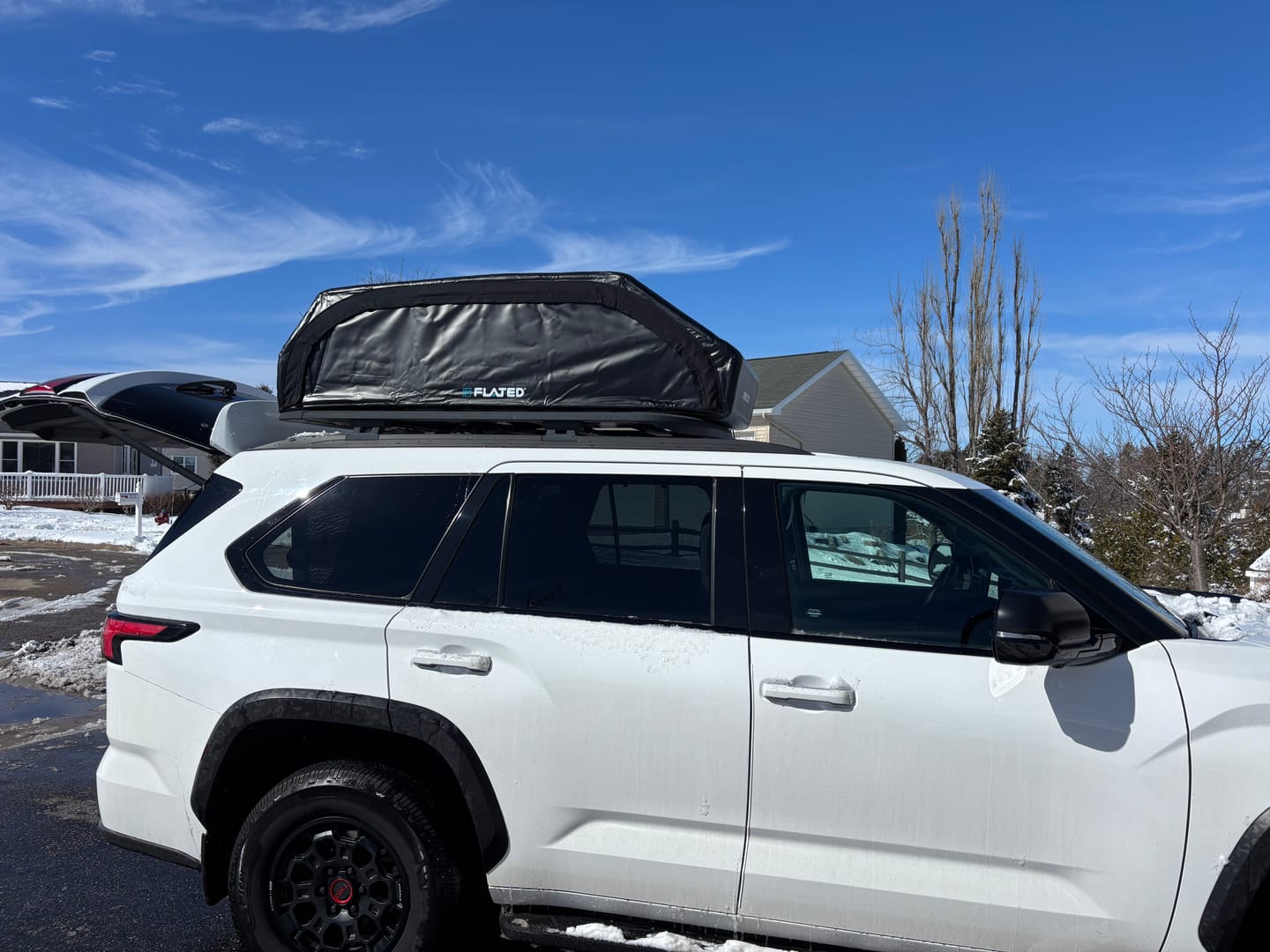 Customer photo review of LARGE CARRIER23