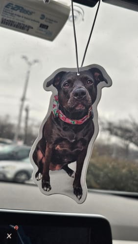 Customer's custom air freshener shaped like a dark dog hanging from a car's rearview mirror.